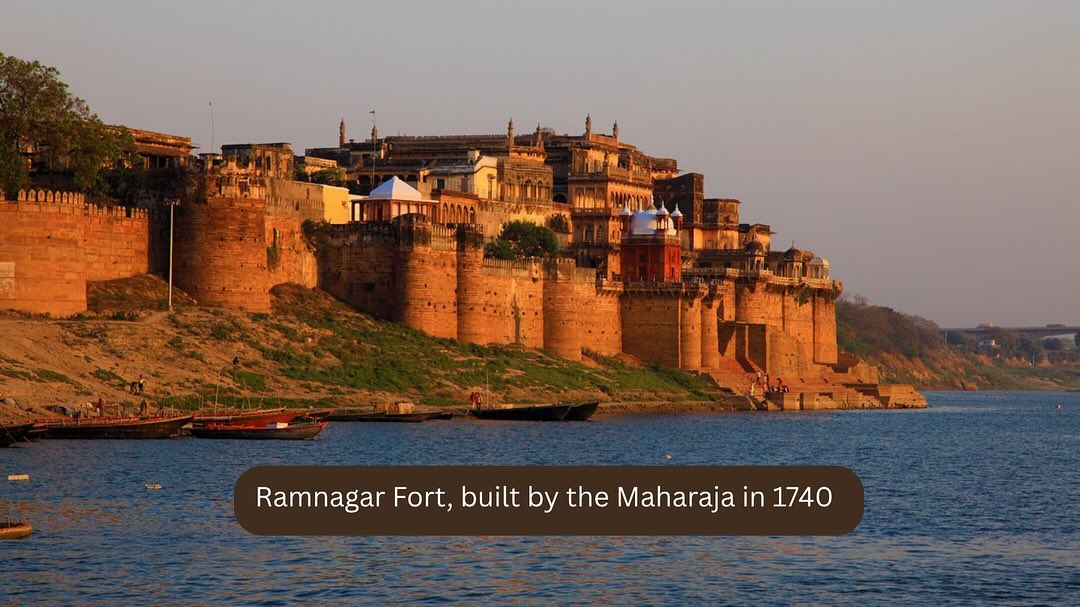 Placeholder Image 11