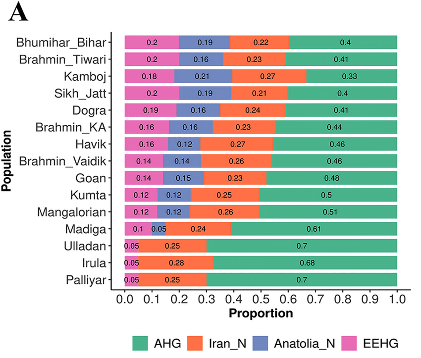 Model results 2020